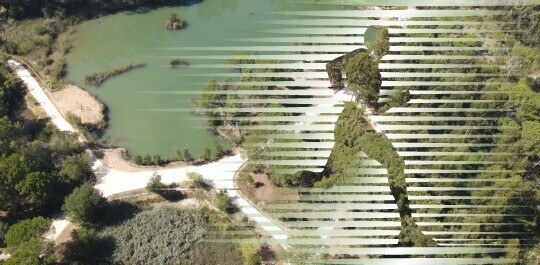 Corrida/Caminhada “Oliveira do Bairro - Trilhos da Natureza” | 27 de agosto