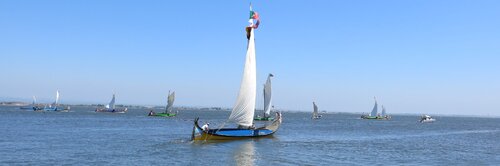 Ria de Aveiro Weekend regressa entre 8 e 10 de julho