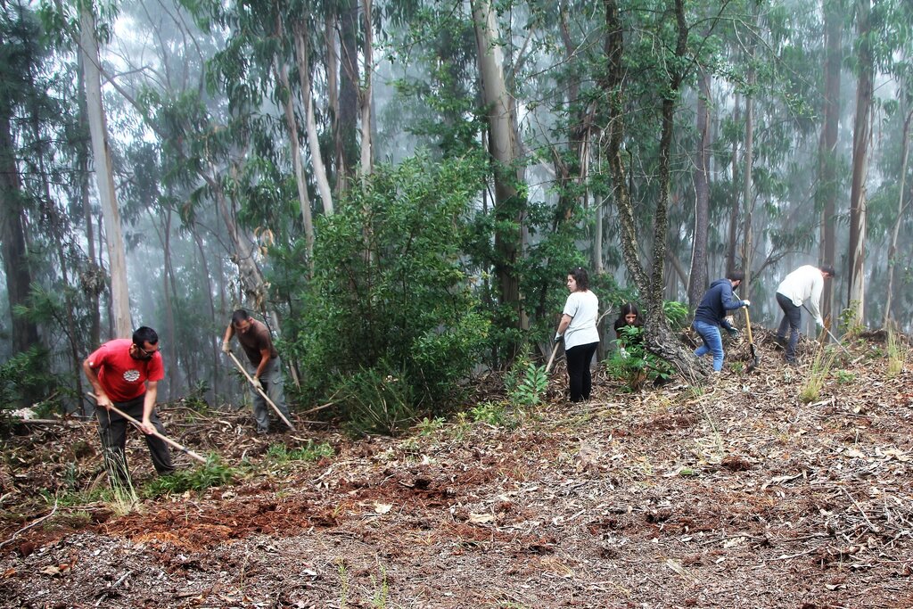 9.ª campanha de escavações arqueológicas no Monte de São Julião