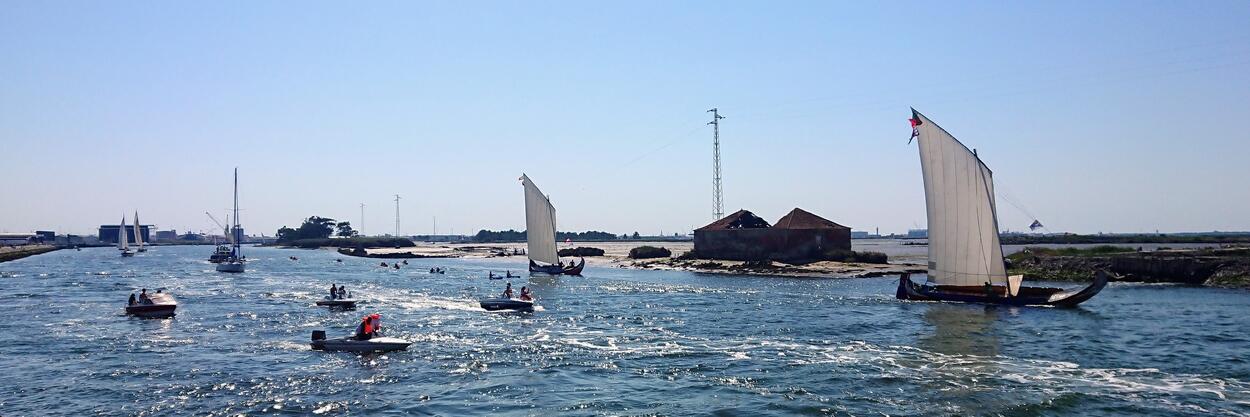 Grande Regata fez a festa dos Moliceiros