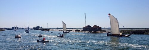 Grande Regata fez a festa dos Moliceiros