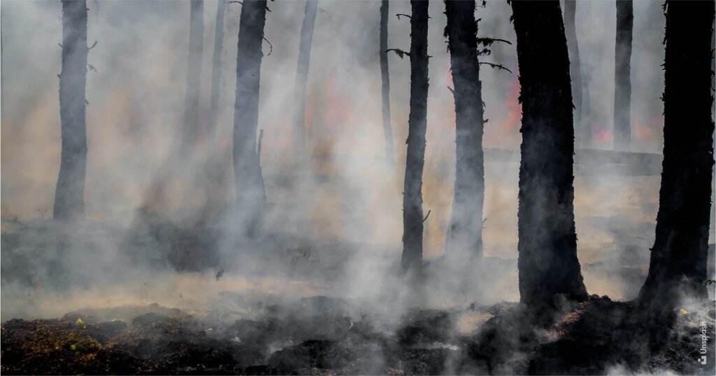 Município faz levantamento de prejuízos económicos provocados pelos incêndios