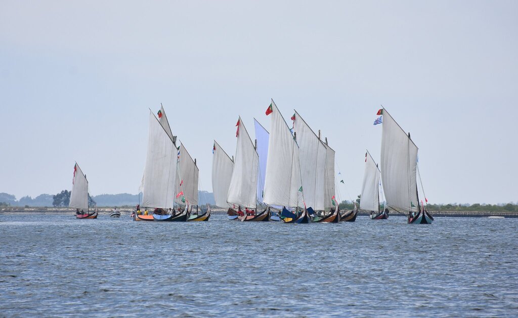 JOSÉ PEDRO MIRANDA VENCEU A REGATA DE BARCOS MOLICEIROS DA FESTA DO EMIGRANTE