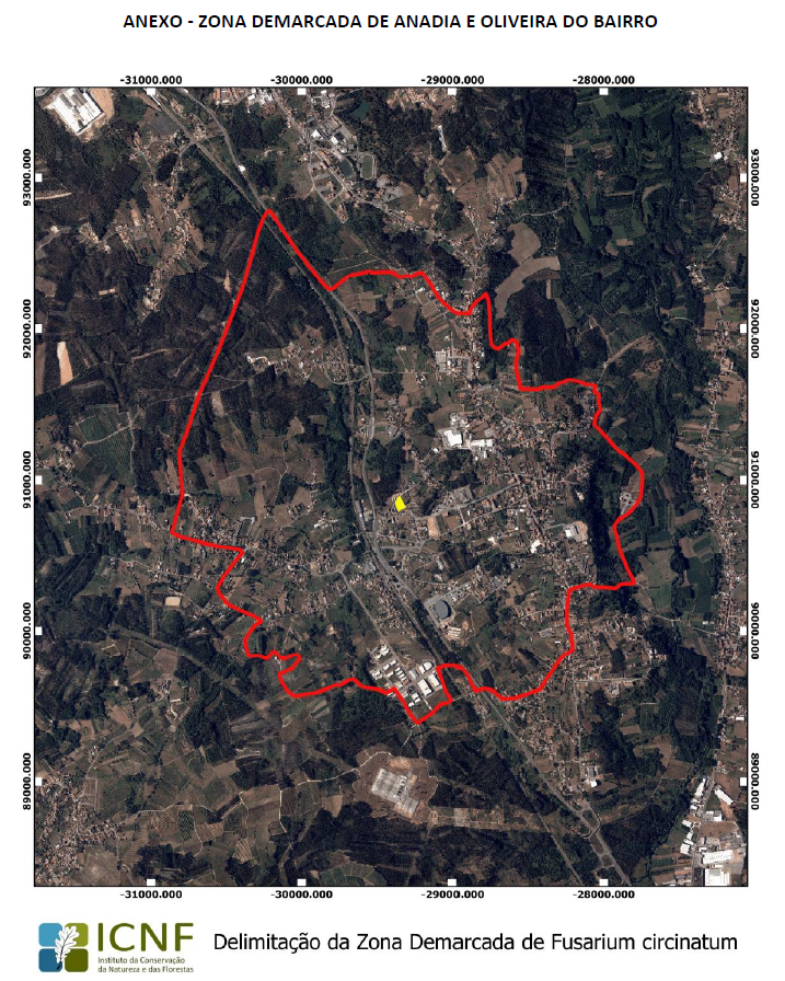 &Aacute;rea demarcada