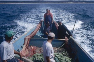 20120605100314262601