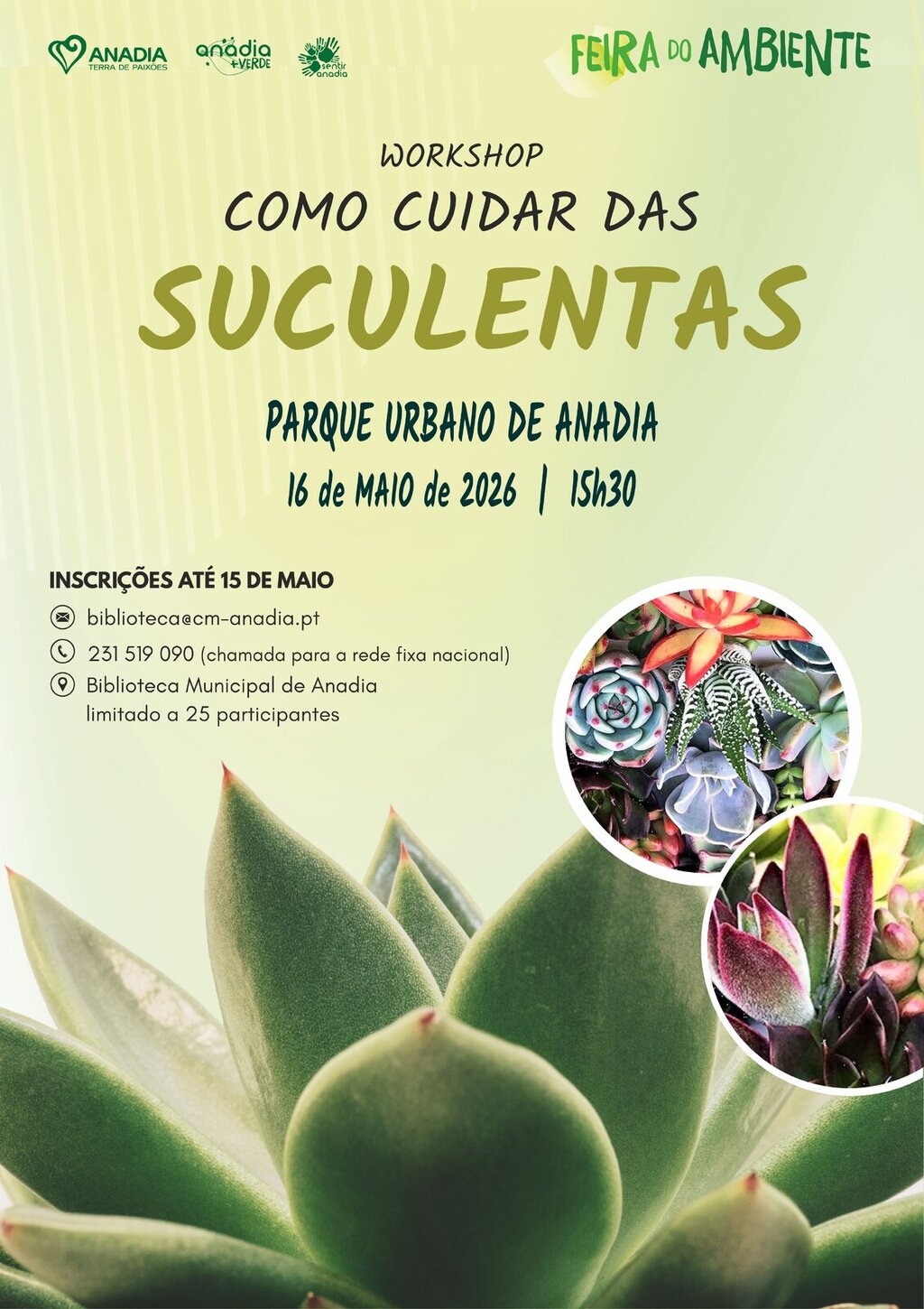 Workshop_Suculentas_2026