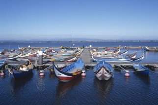 20120606145014590956